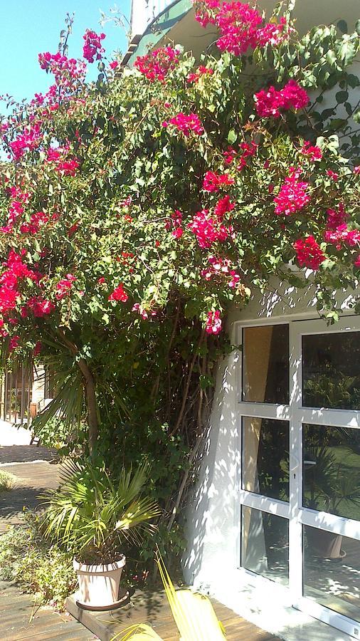 Cape Oasis Guesthouse Bloubergstrand Exteriér fotografie