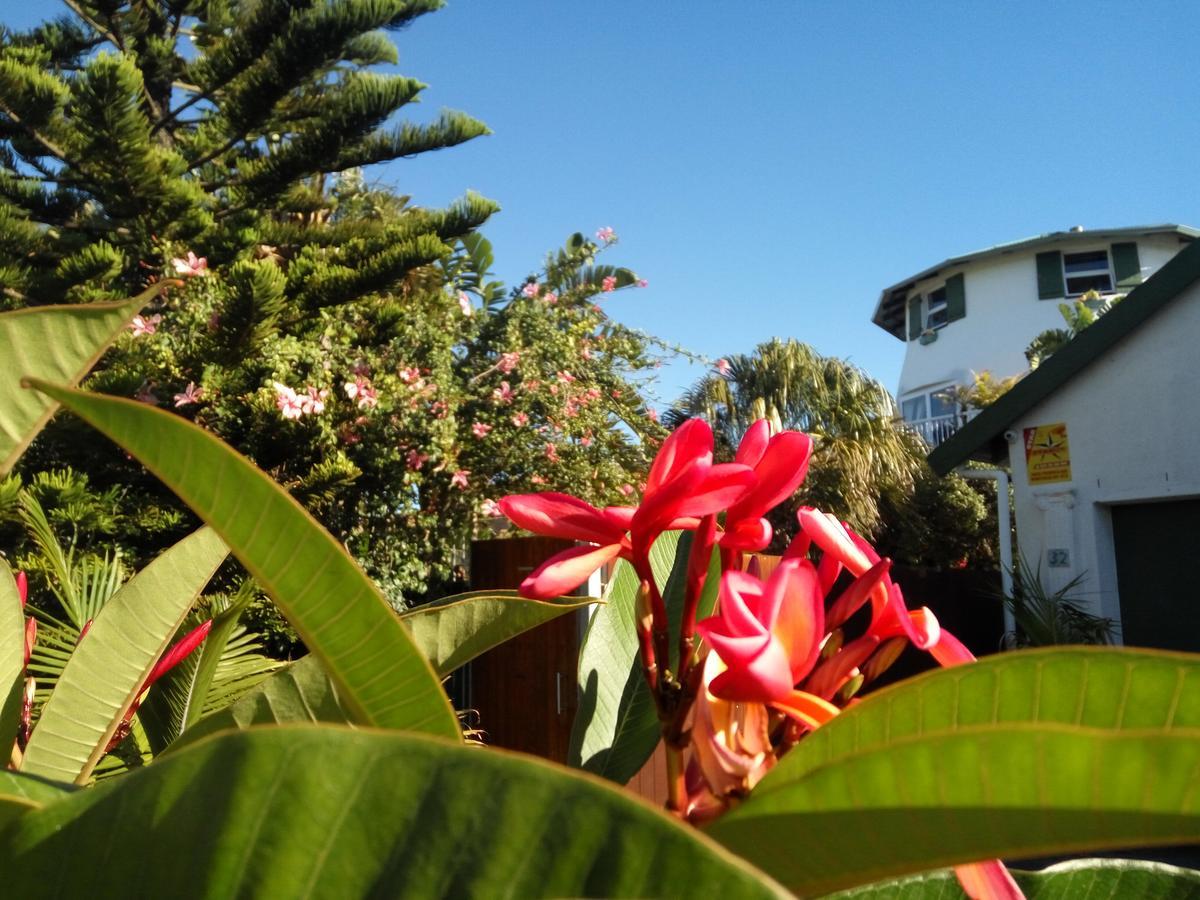 Cape Oasis Guesthouse Bloubergstrand Exteriér fotografie